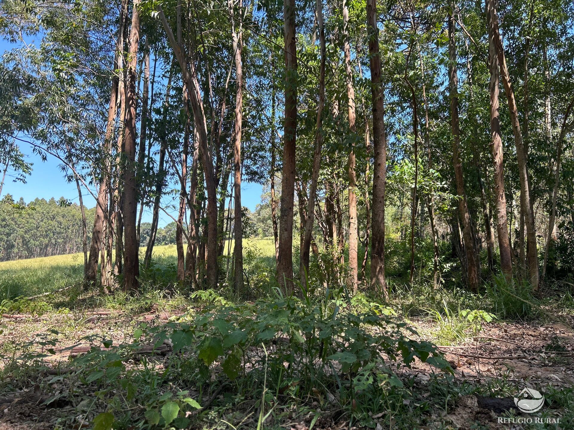 Terreno à venda, 360000m² - Foto 8