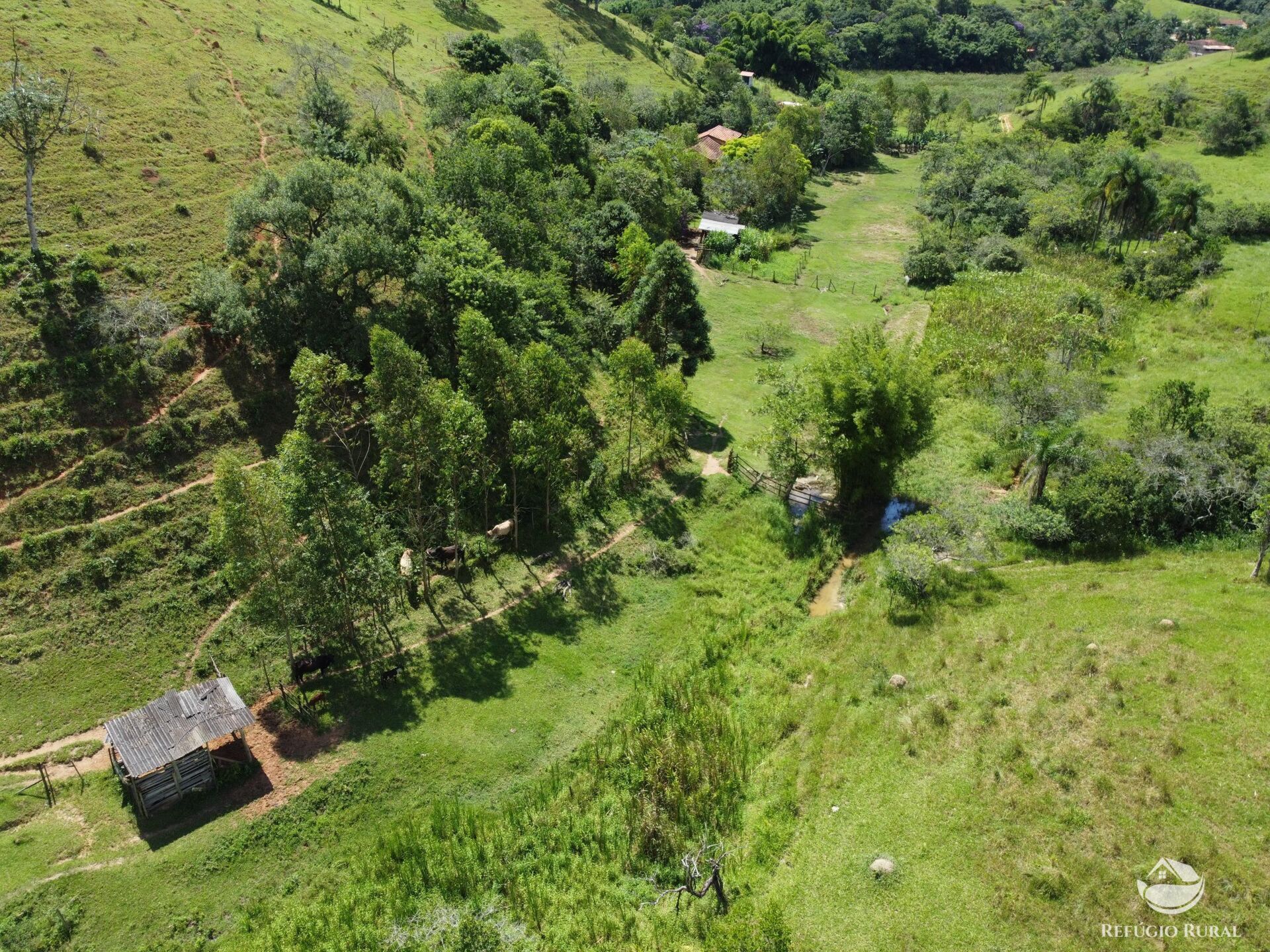 Sítio à venda com 3 quartos, 48400m² - Foto 11