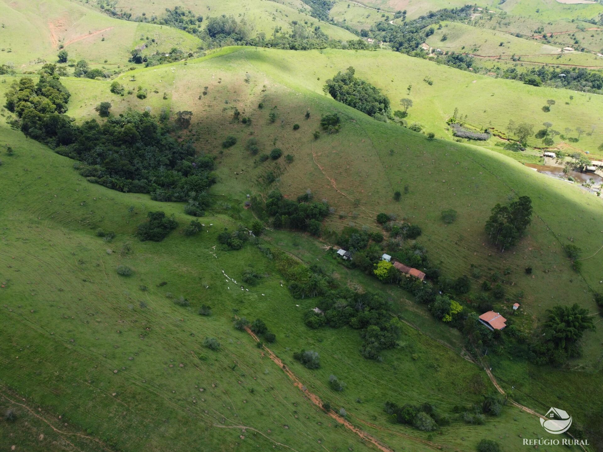 Sítio à venda com 3 quartos, 48400m² - Foto 18