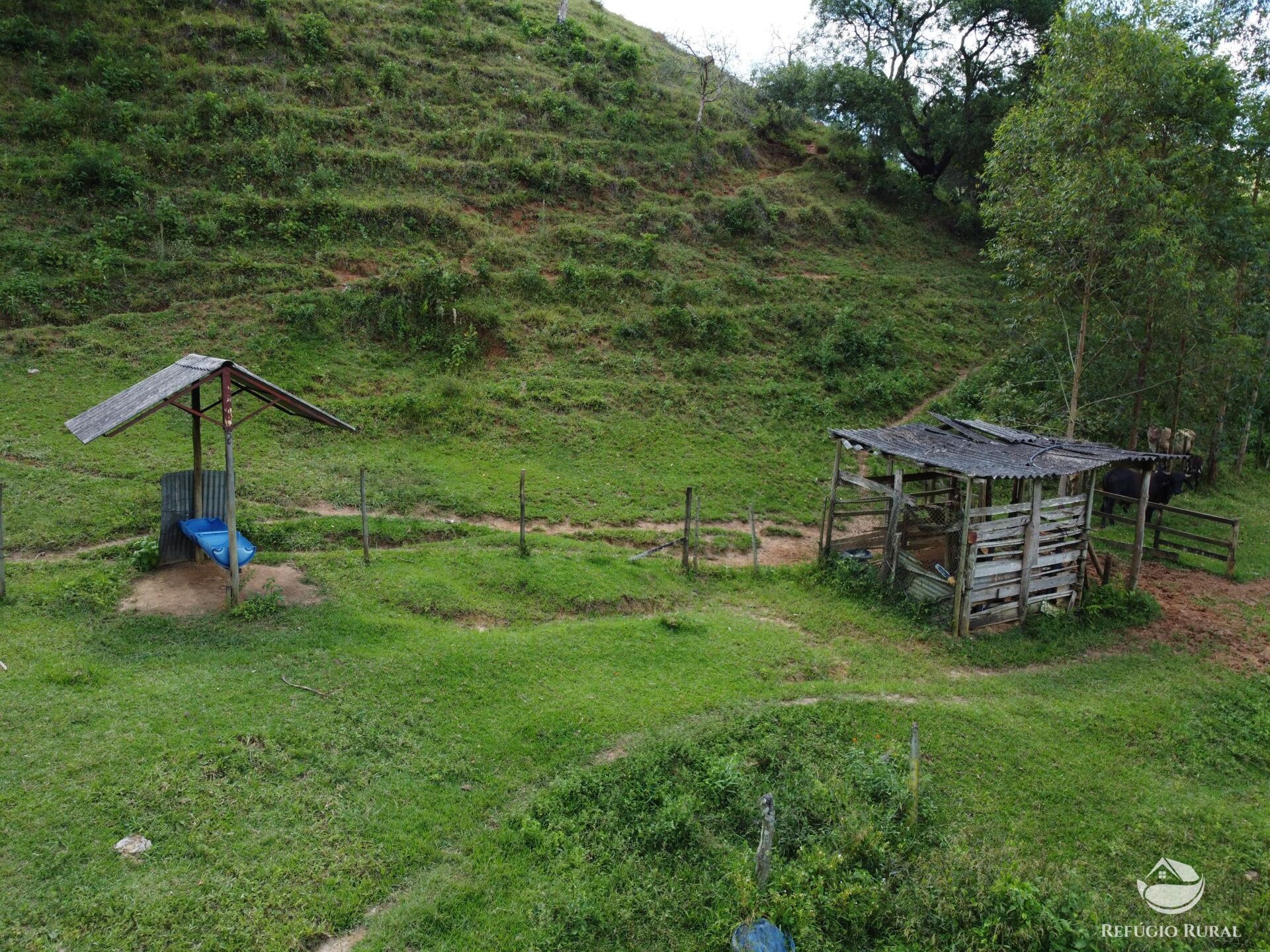Sítio à venda com 3 quartos, 48400m² - Foto 6