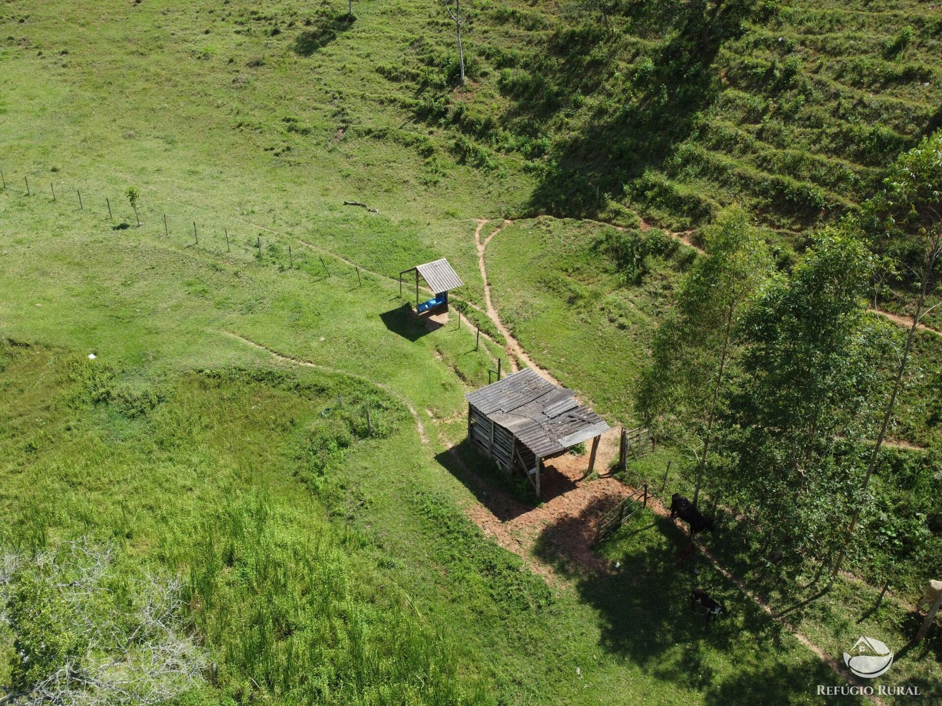 Sítio à venda com 3 quartos, 48400m² - Foto 8