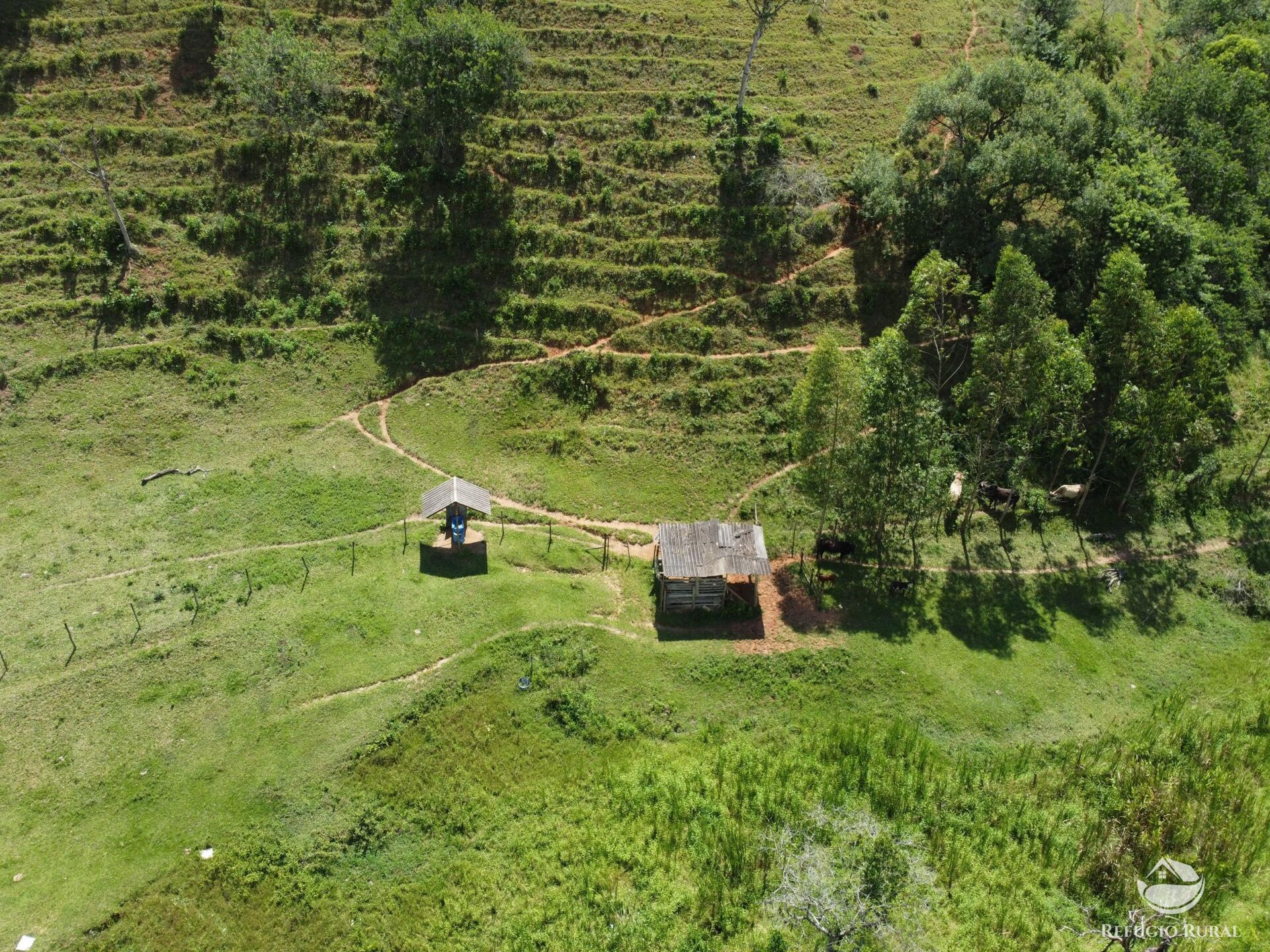 Sítio à venda com 3 quartos, 48400m² - Foto 10