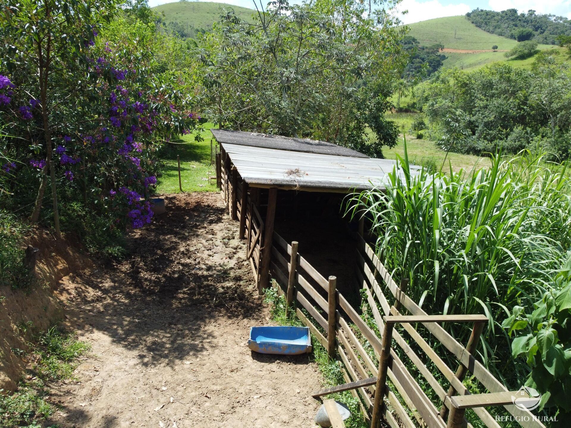 Sítio à venda com 3 quartos, 48400m² - Foto 16