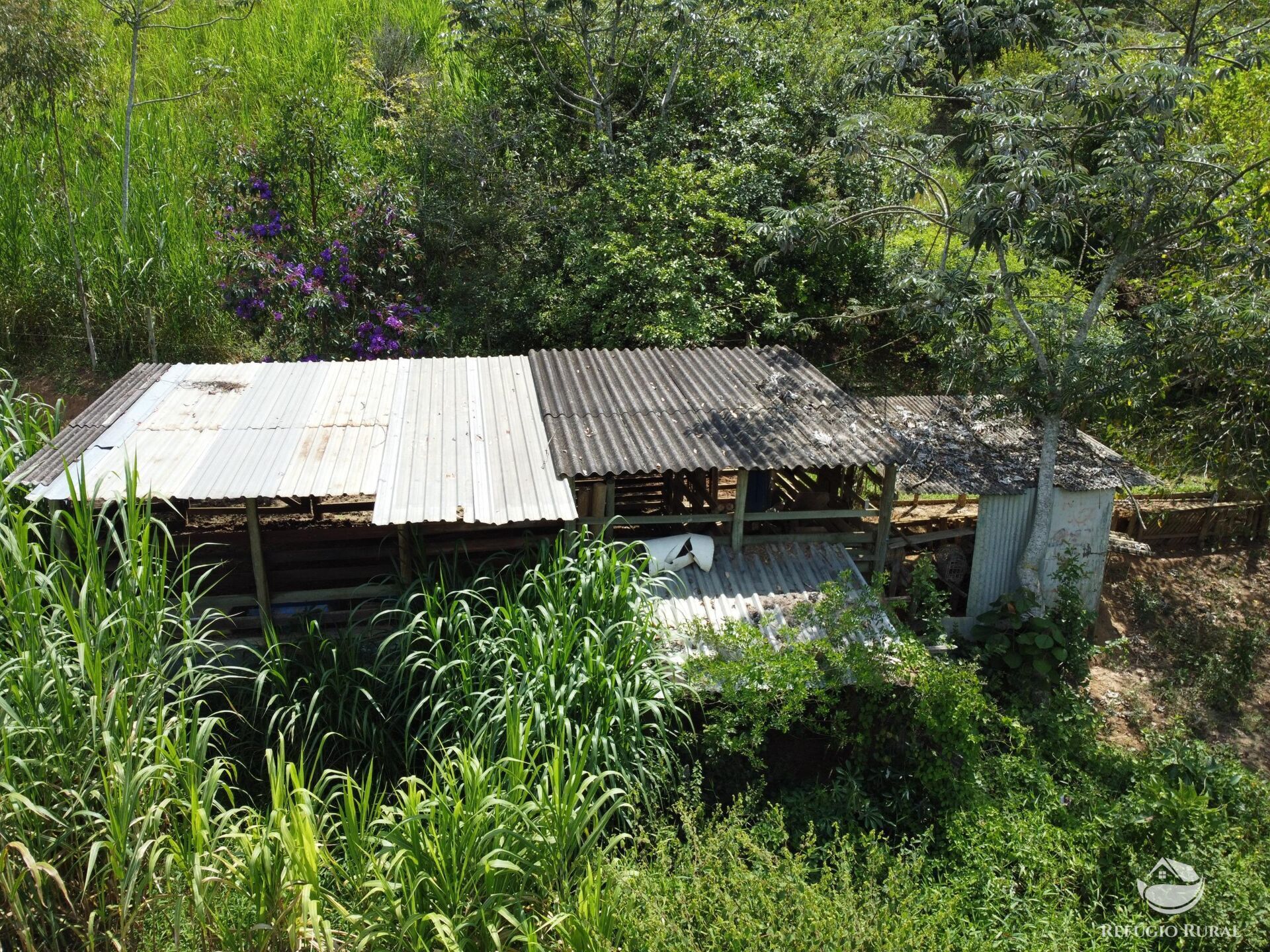 Sítio à venda com 3 quartos, 48400m² - Foto 15