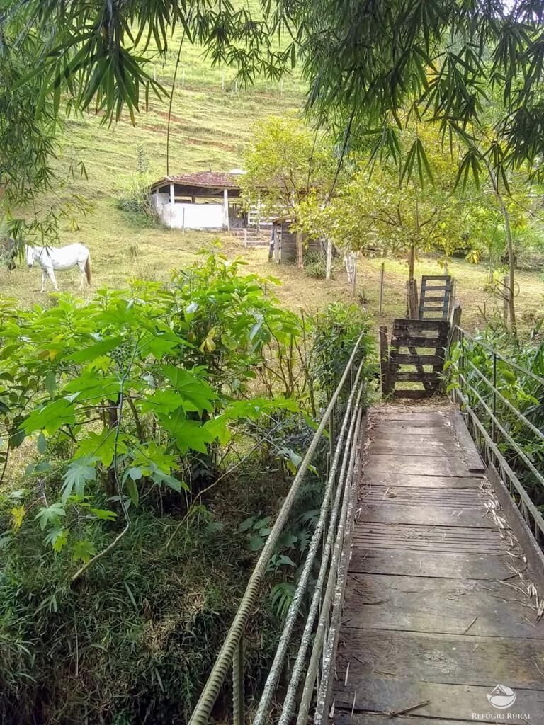 Fazenda à venda com 7 quartos, 500000m² - Foto 35