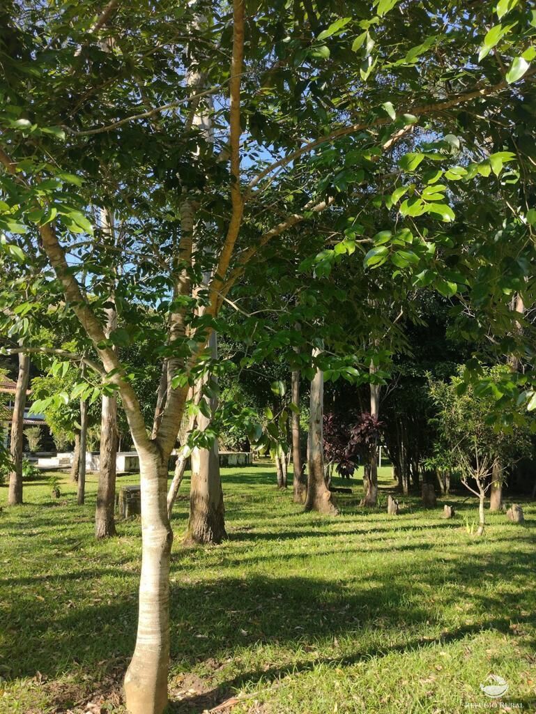 Fazenda à venda com 7 quartos, 500000m² - Foto 13