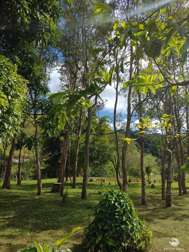 Fazenda à venda com 7 quartos, 500000m² - Foto 42