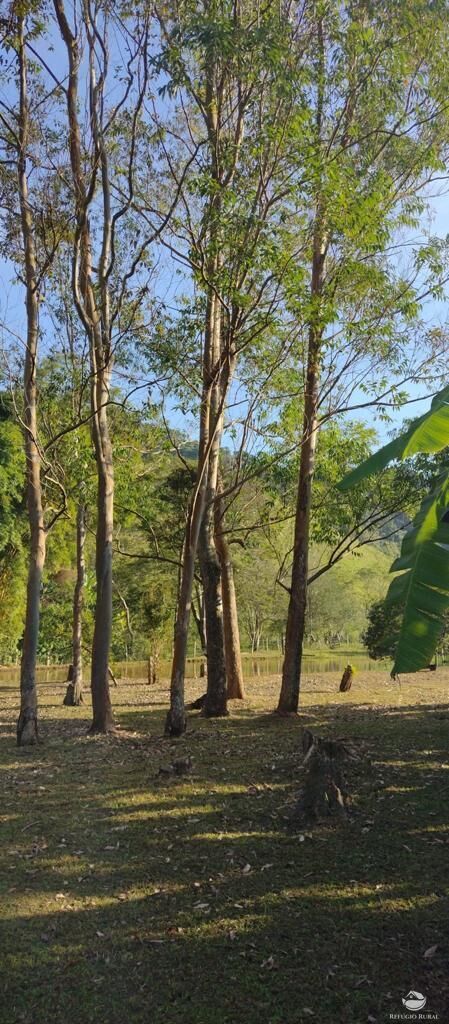 Fazenda à venda com 7 quartos, 500000m² - Foto 17