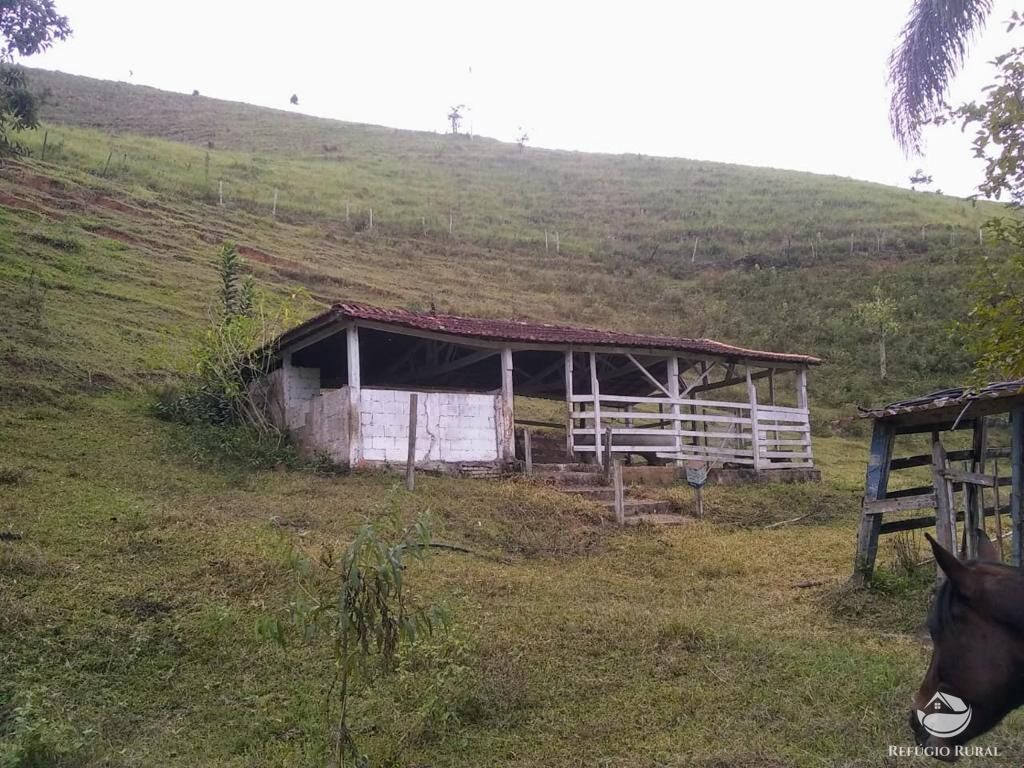 Fazenda à venda com 7 quartos, 500000m² - Foto 36