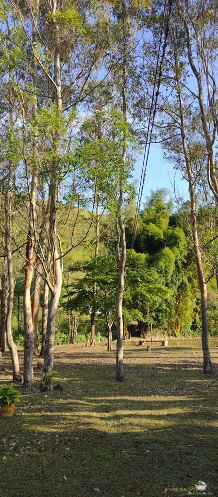 Fazenda à venda com 7 quartos, 500000m² - Foto 43