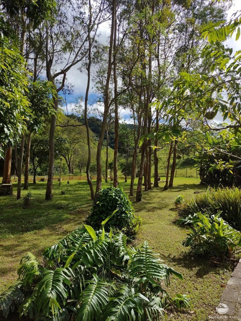 Fazenda à venda com 7 quartos, 500000m² - Foto 41