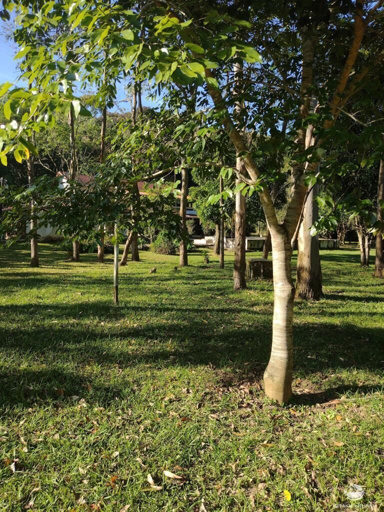 Fazenda à venda com 7 quartos, 500000m² - Foto 12