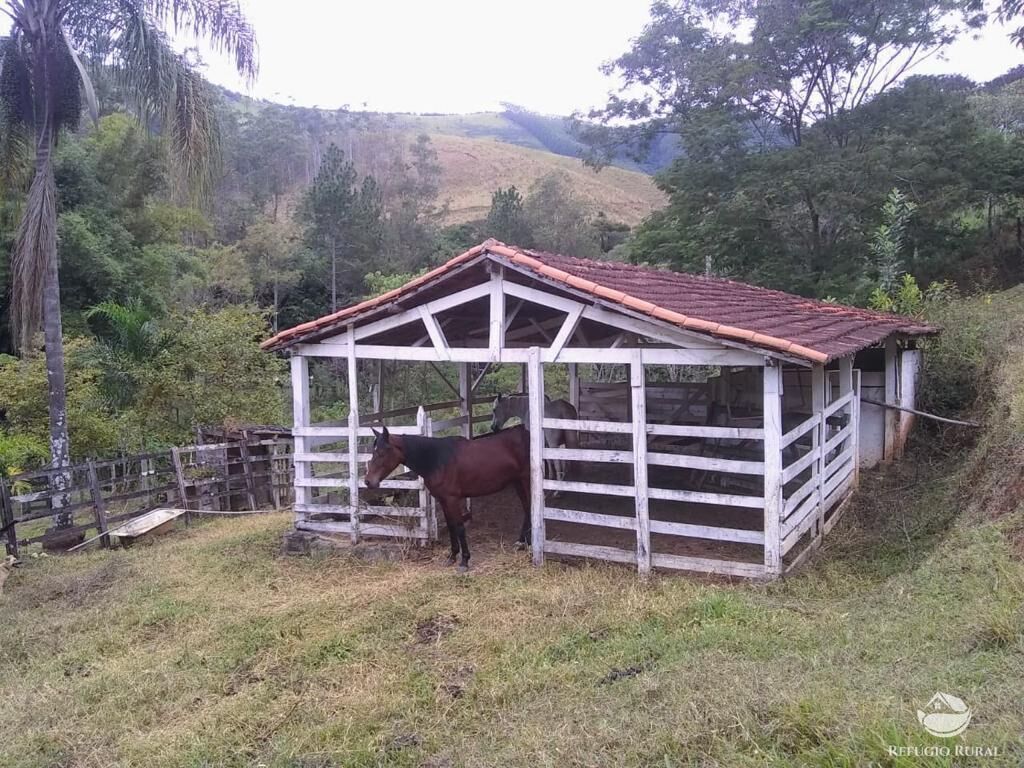 Fazenda à venda com 7 quartos, 500000m² - Foto 33