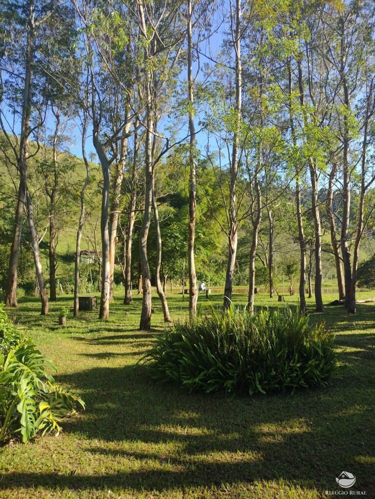 Fazenda à venda com 7 quartos, 500000m² - Foto 10