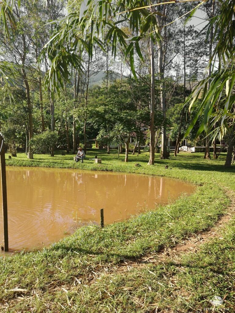 Fazenda à venda com 7 quartos, 500000m² - Foto 11