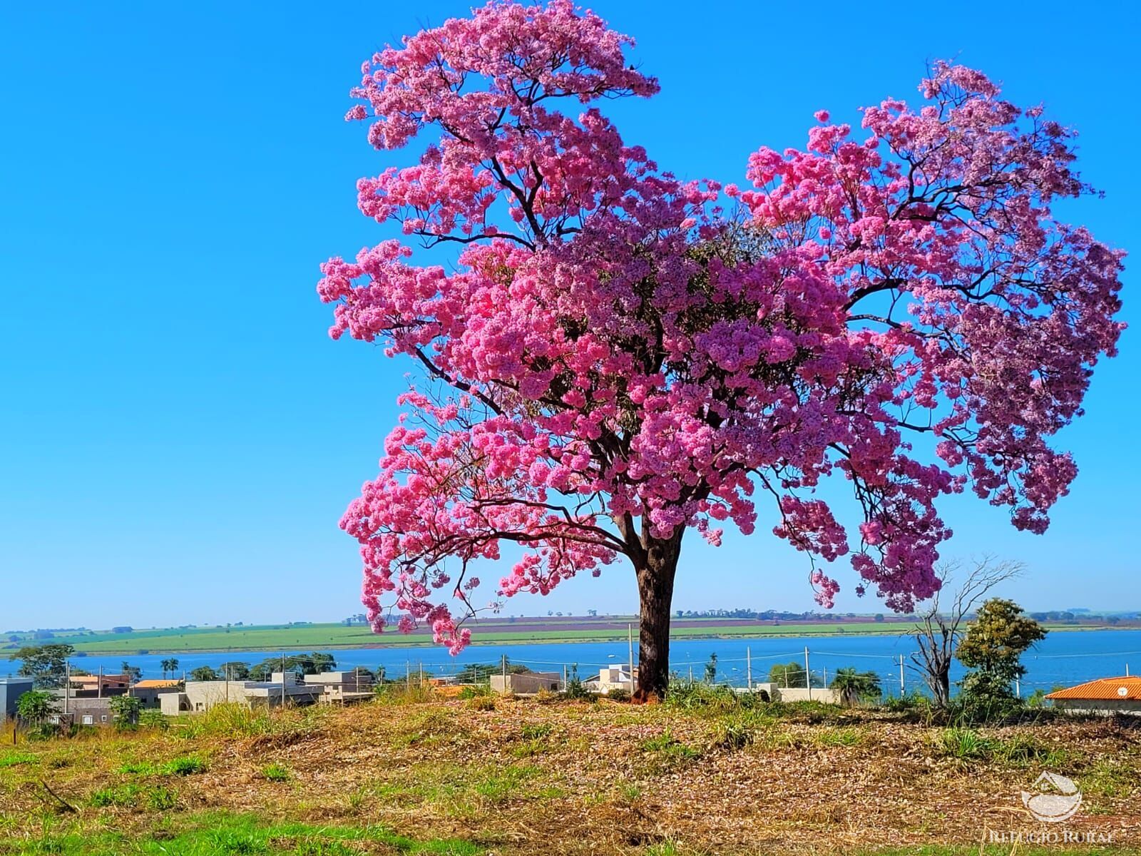 Terreno, 450 m² - Foto 1