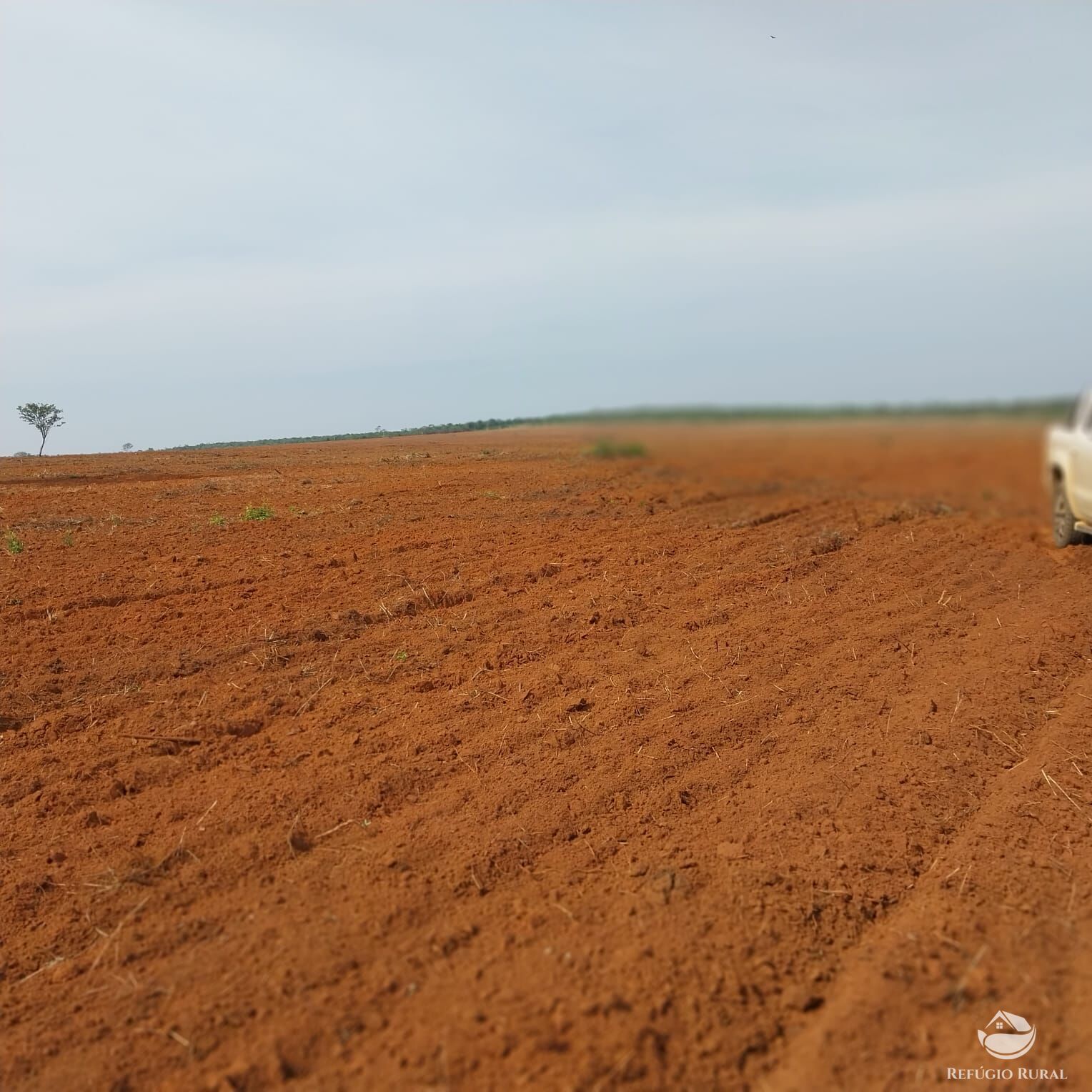 Fazenda à venda com 2 quartos, 52000000m² - Foto 16