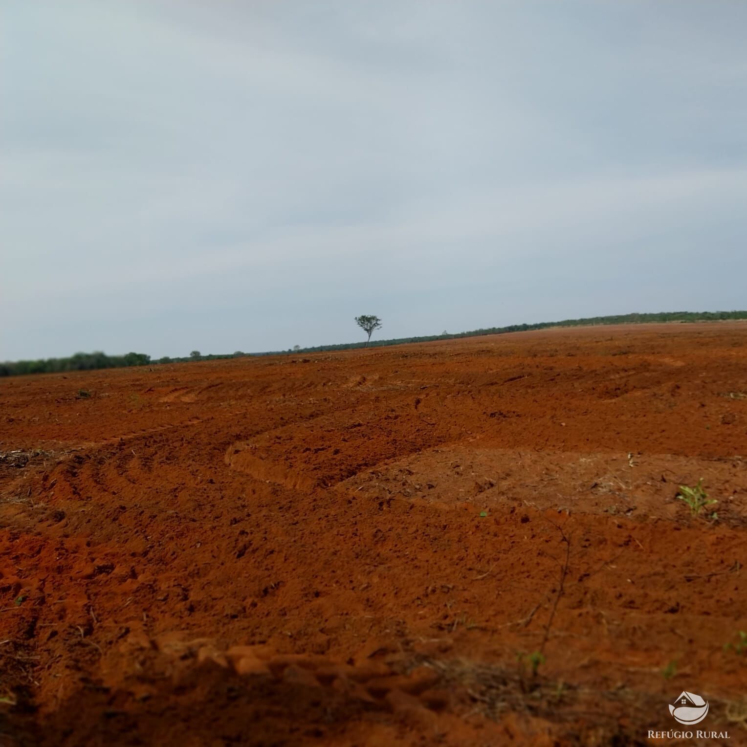 Fazenda à venda com 2 quartos, 52000000m² - Foto 13