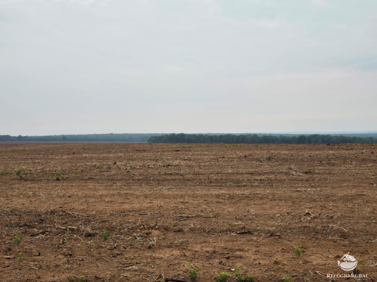 Fazenda à venda com 2 quartos, 52000000m² - Foto 6