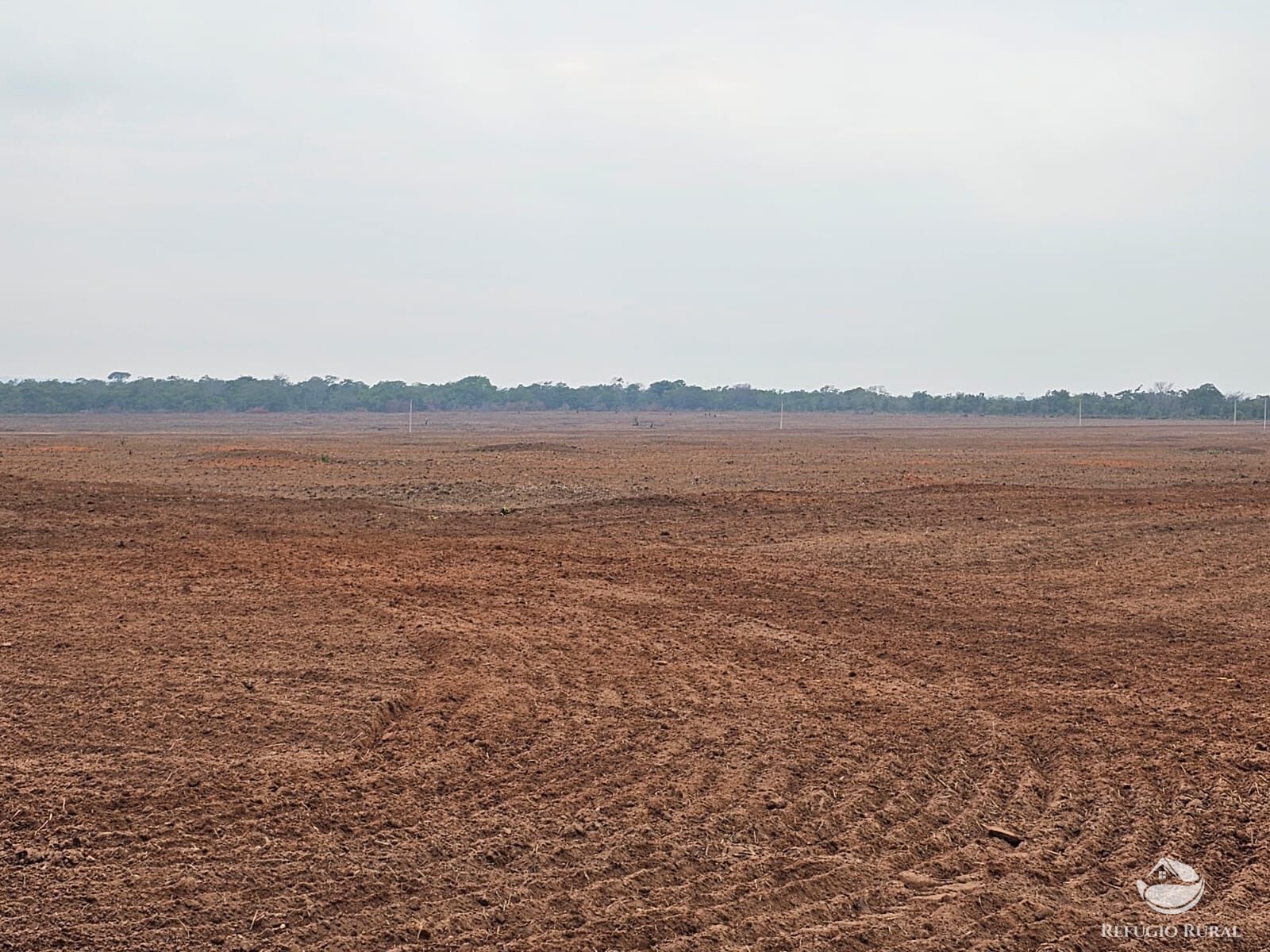 Fazenda à venda com 2 quartos, 52000000m² - Foto 5