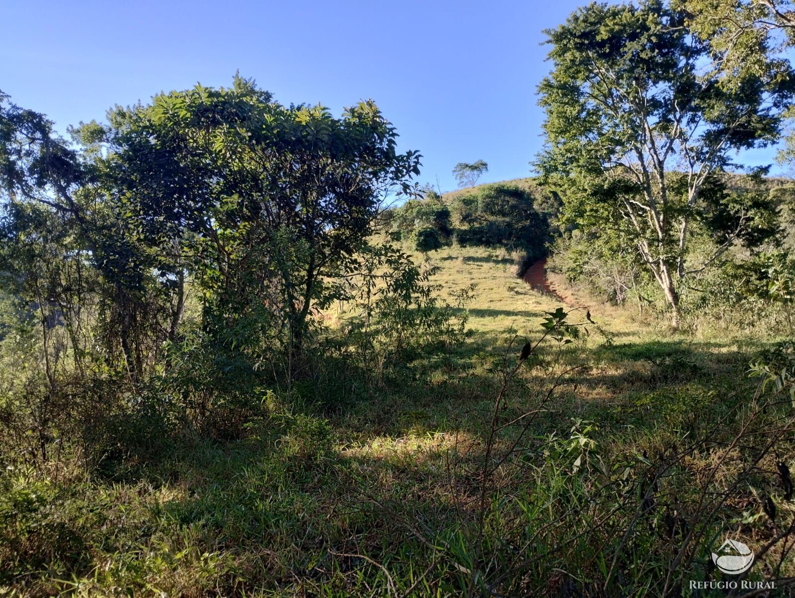 Terreno à venda, 20000m² - Foto 4