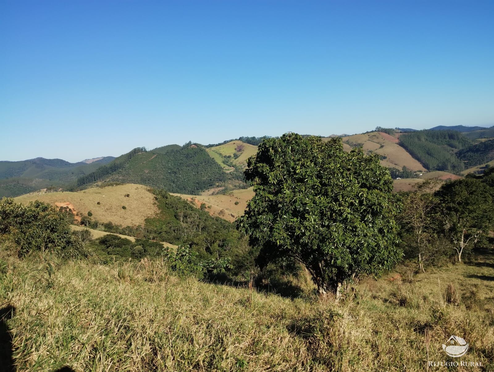 Terreno à venda, 20000m² - Foto 2