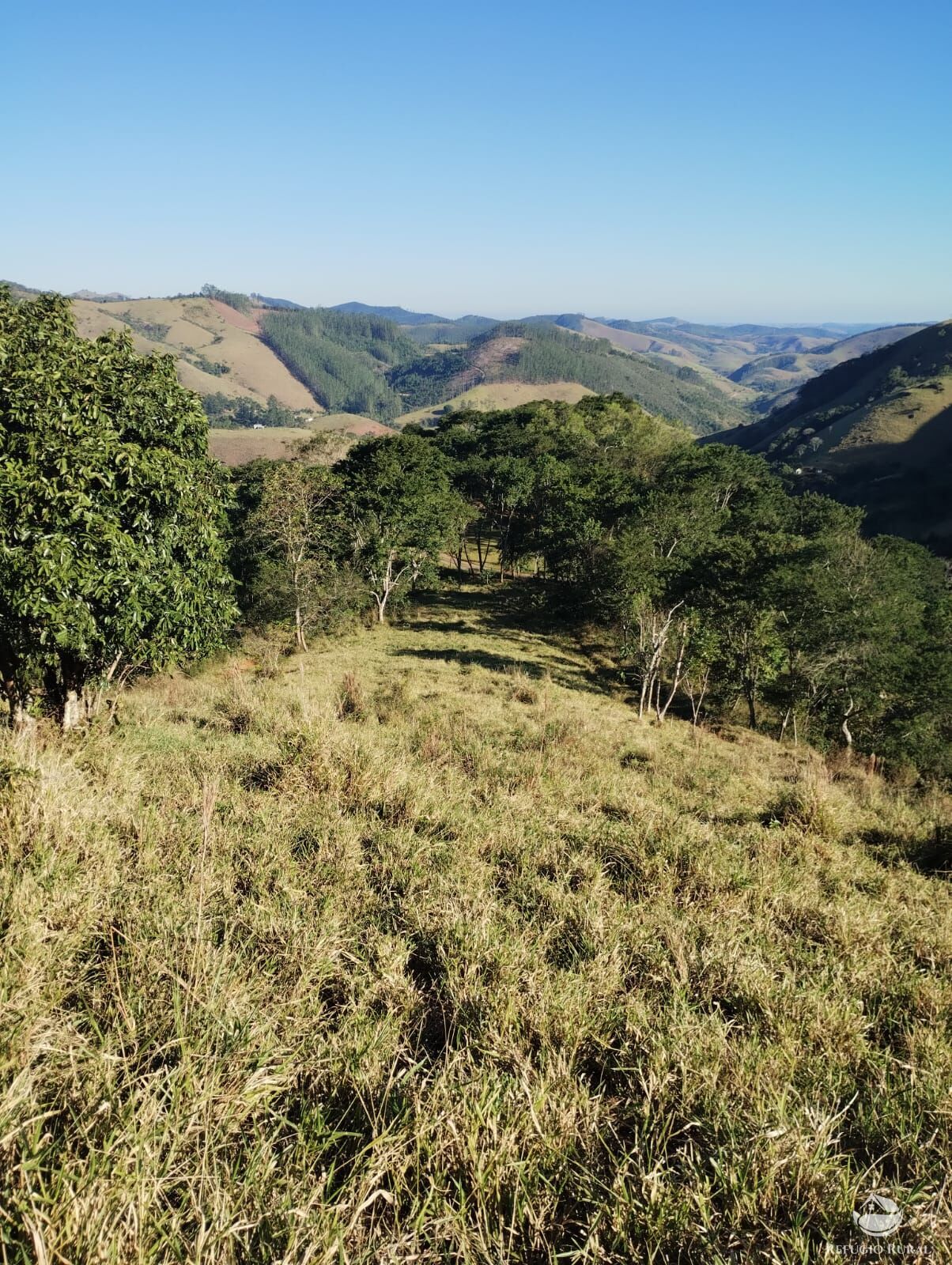 Terreno à venda, 20000m² - Foto 5