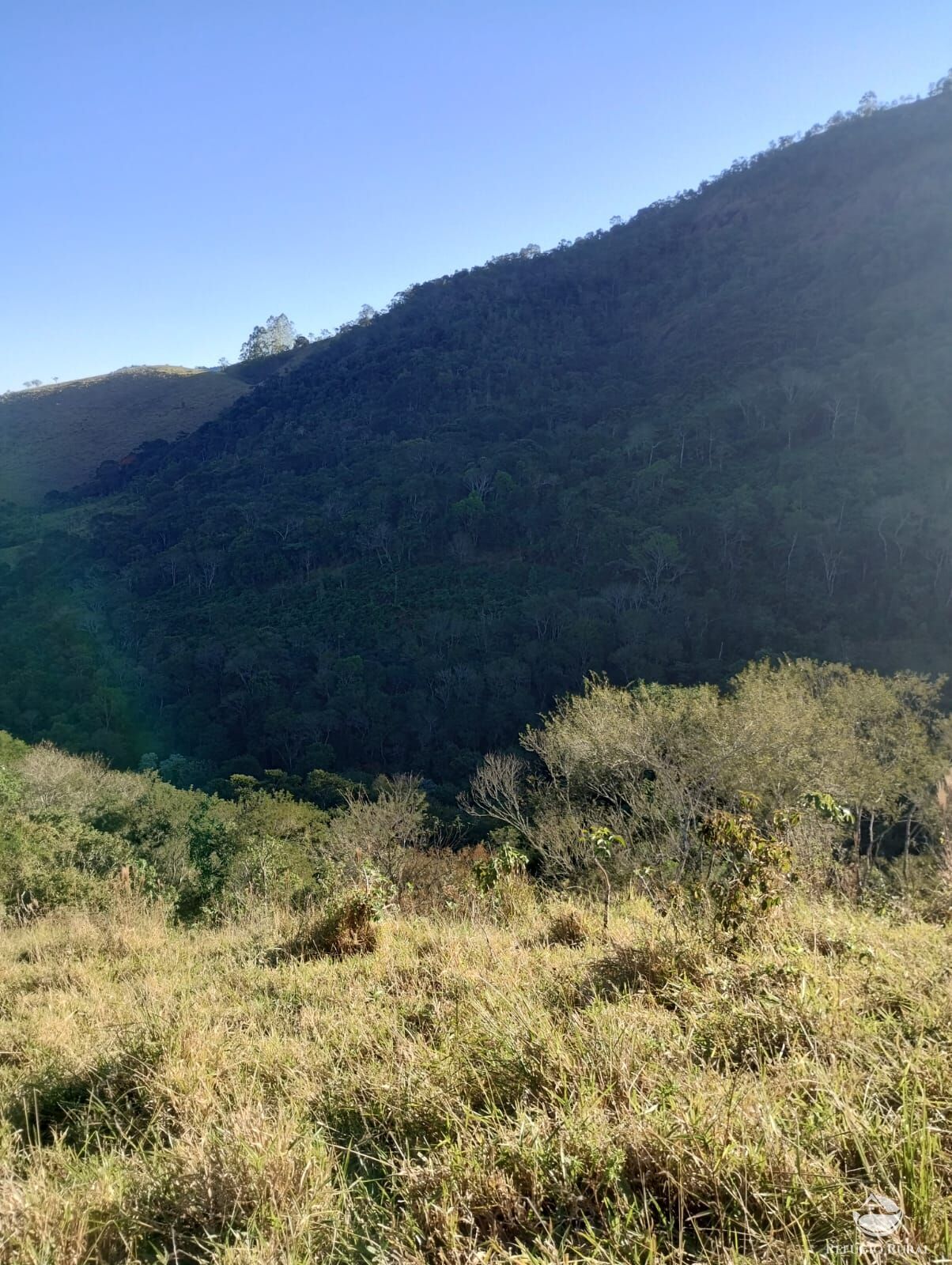 Terreno à venda, 20000m² - Foto 6