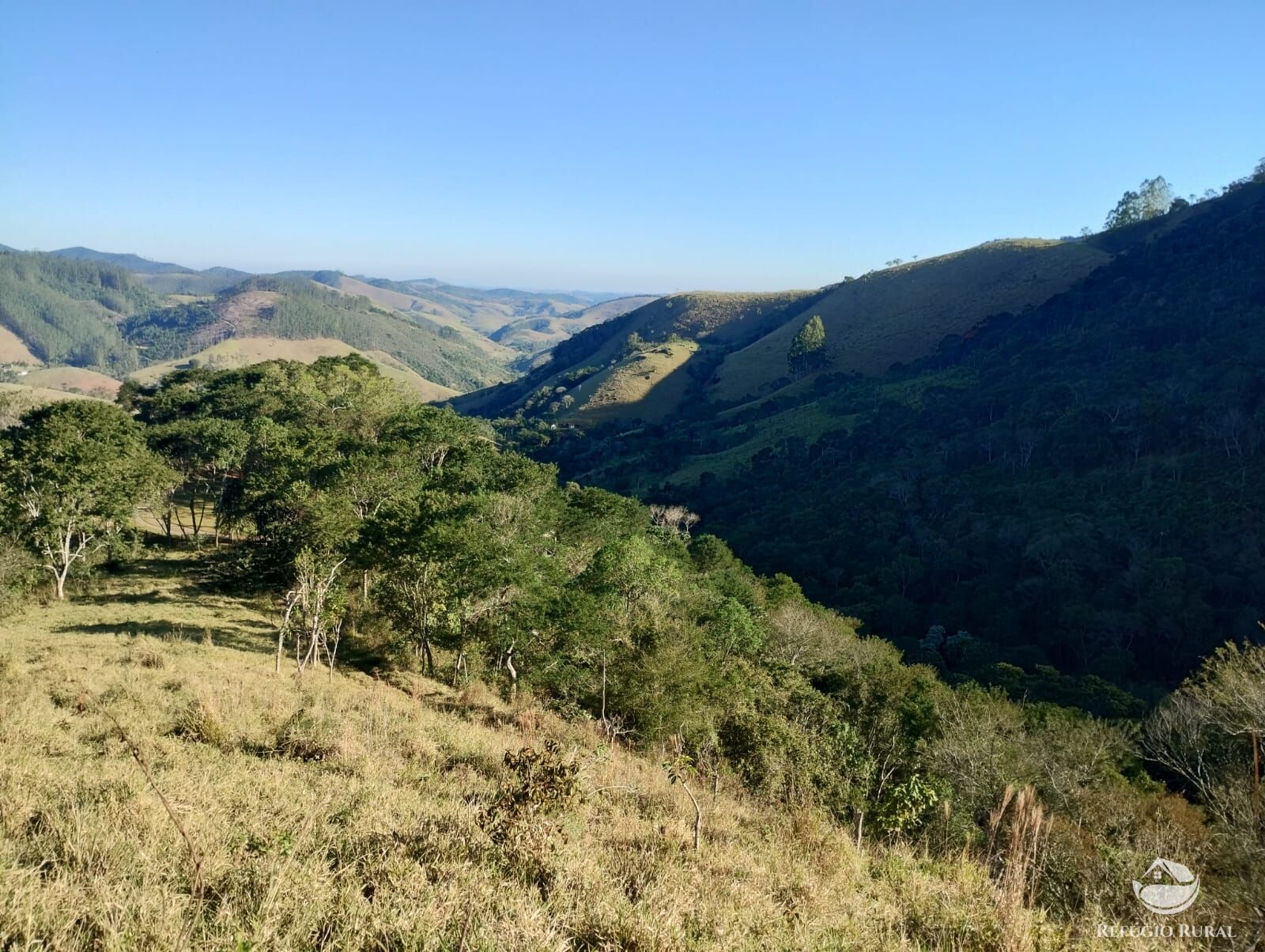 Terreno à venda, 20000m² - Foto 1