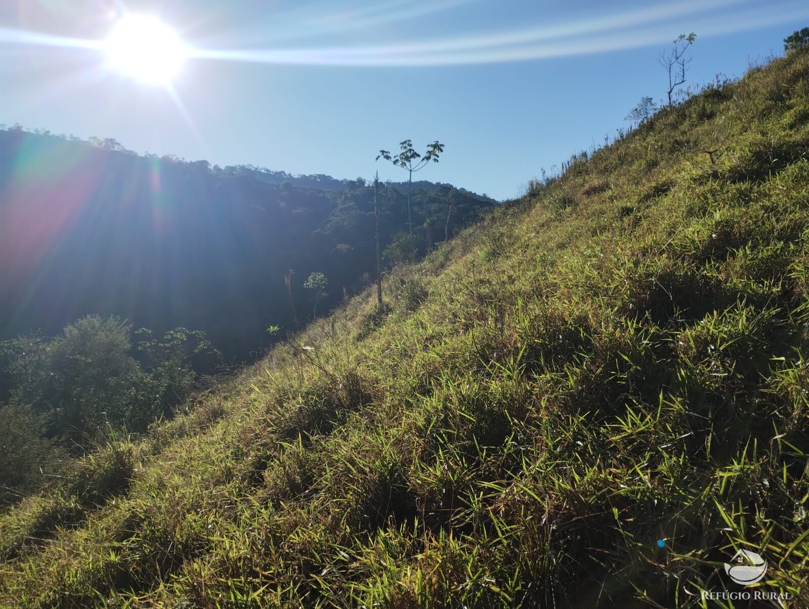 Terreno à venda, 20000m² - Foto 3