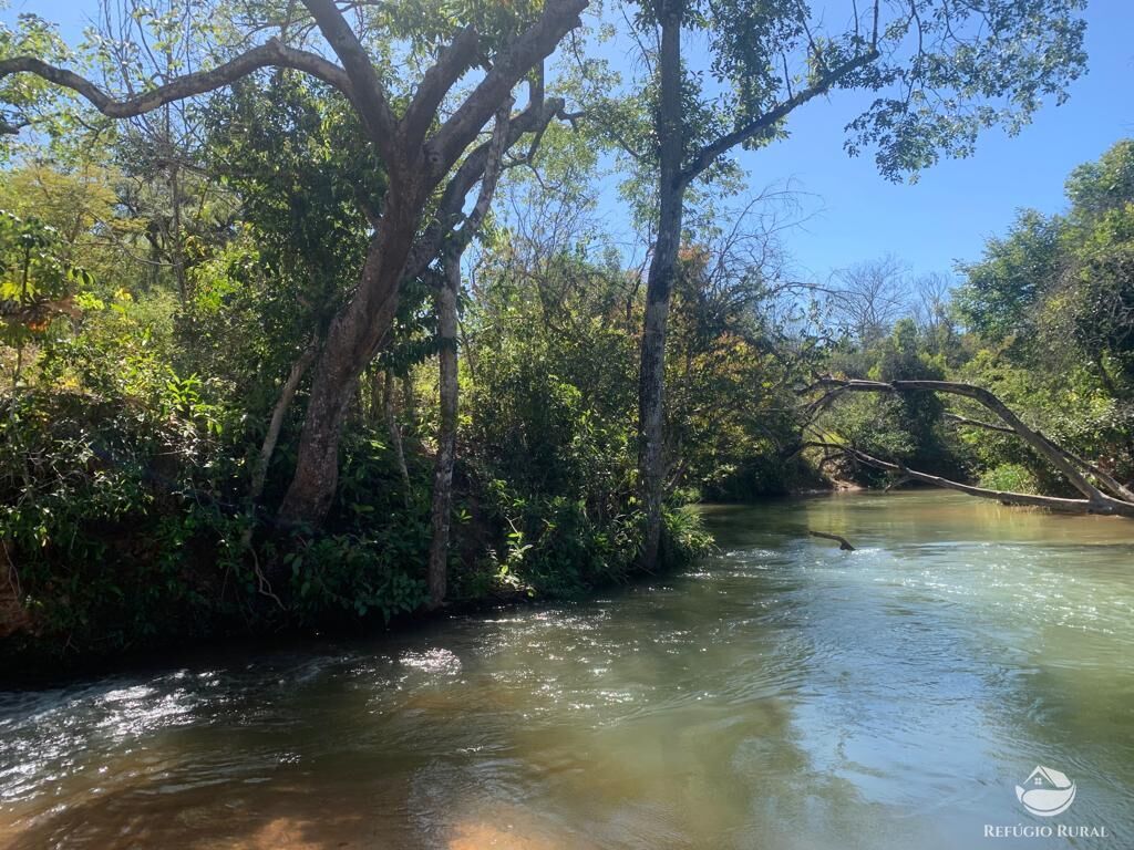 Fazenda à venda com 1 quarto, 10800000m² - Foto 13