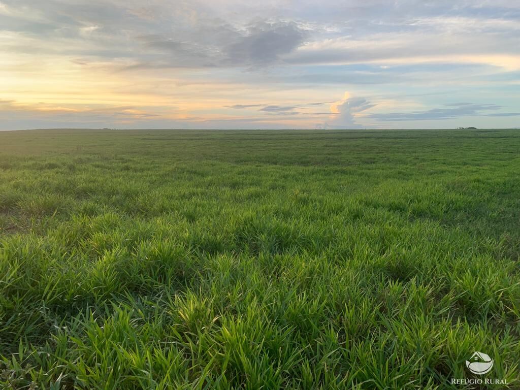 Fazenda à venda com 1 quarto, 10800000m² - Foto 6