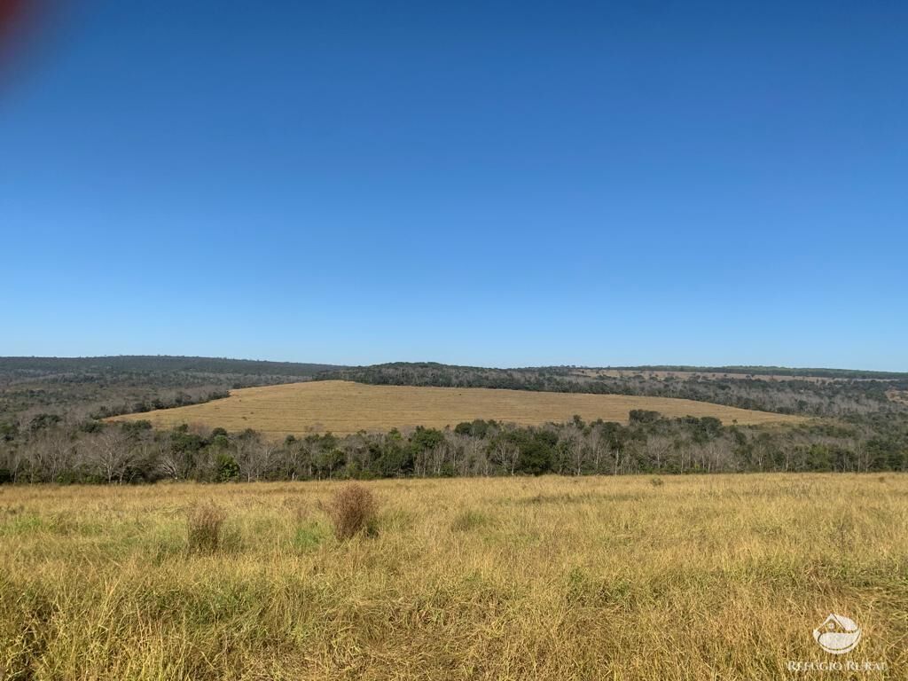 Fazenda à venda com 1 quarto, 10800000m² - Foto 25