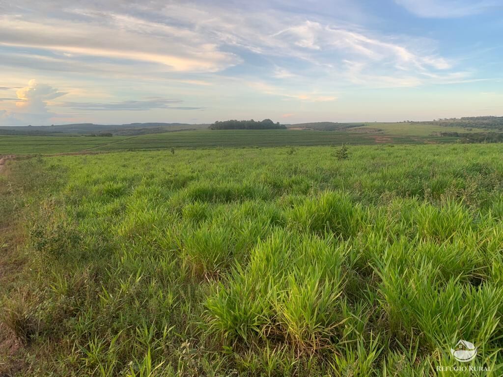 Fazenda à venda com 1 quarto, 10800000m² - Foto 5