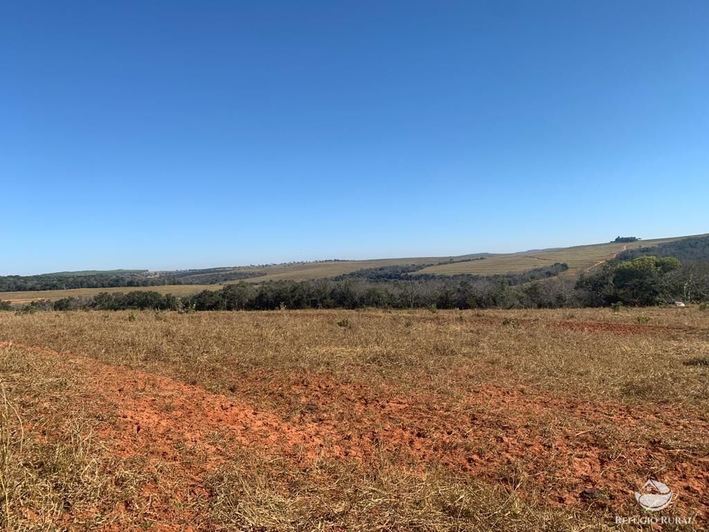 Fazenda à venda com 1 quarto, 10800000m² - Foto 23