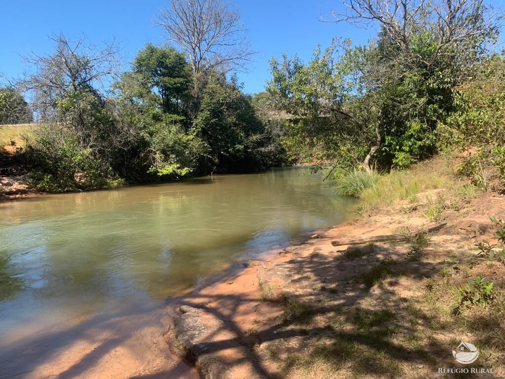 Fazenda à venda com 1 quarto, 10800000m² - Foto 15