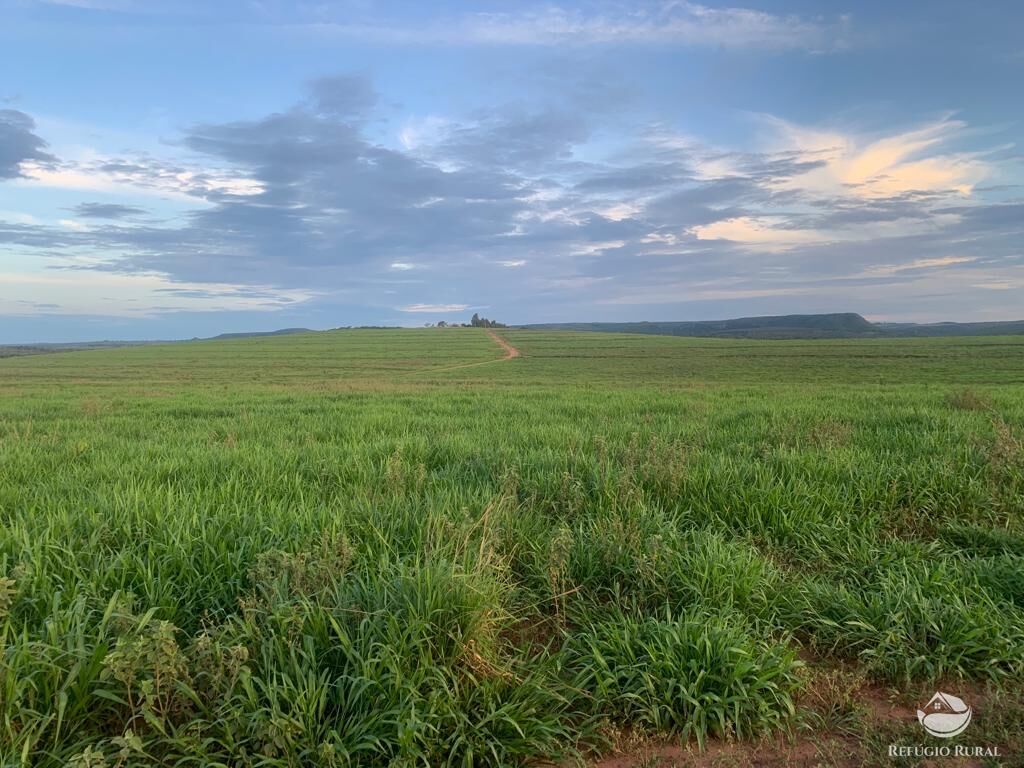 Fazenda à venda com 1 quarto, 10800000m² - Foto 7