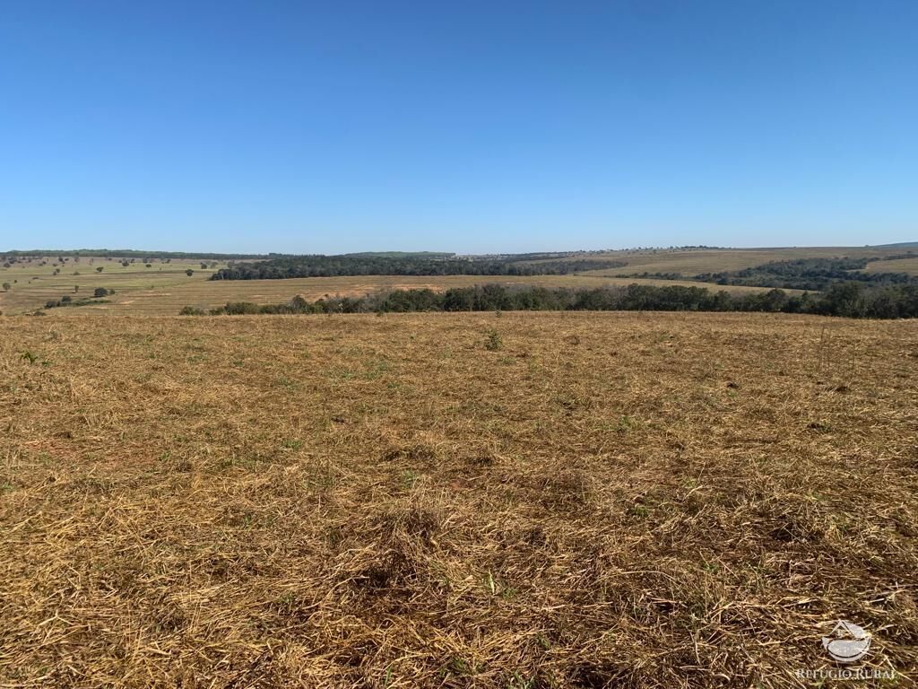 Fazenda à venda com 1 quarto, 10800000m² - Foto 22