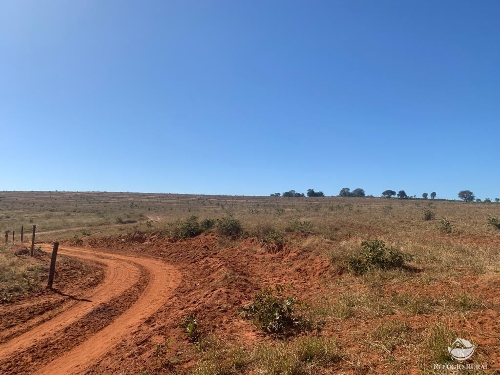 Fazenda à venda com 1 quarto, 10800000m² - Foto 11