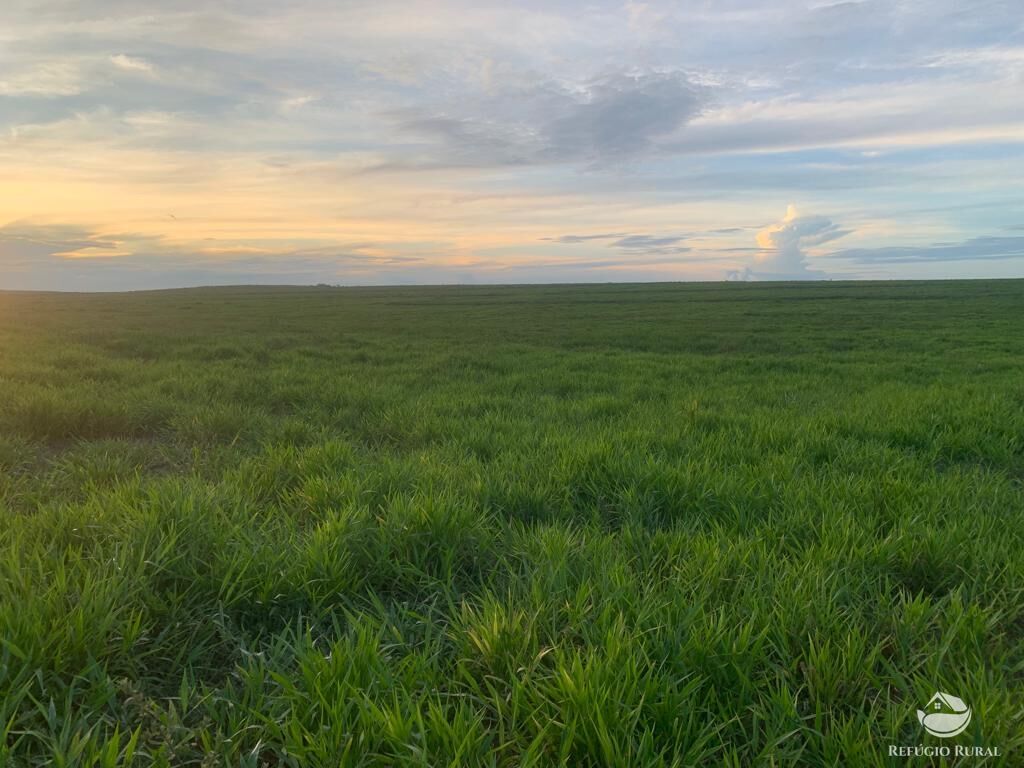 Fazenda à venda com 1 quarto, 10800000m² - Foto 3