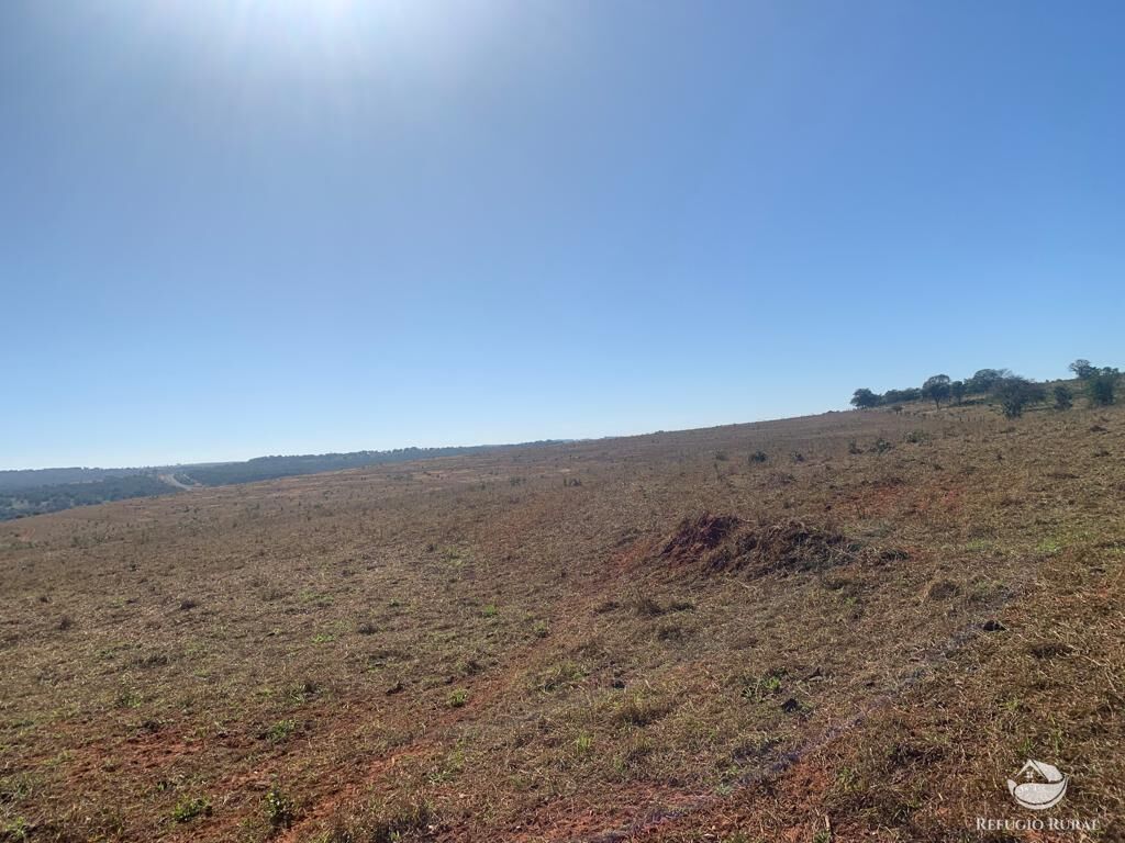 Fazenda à venda com 1 quarto, 10800000m² - Foto 17