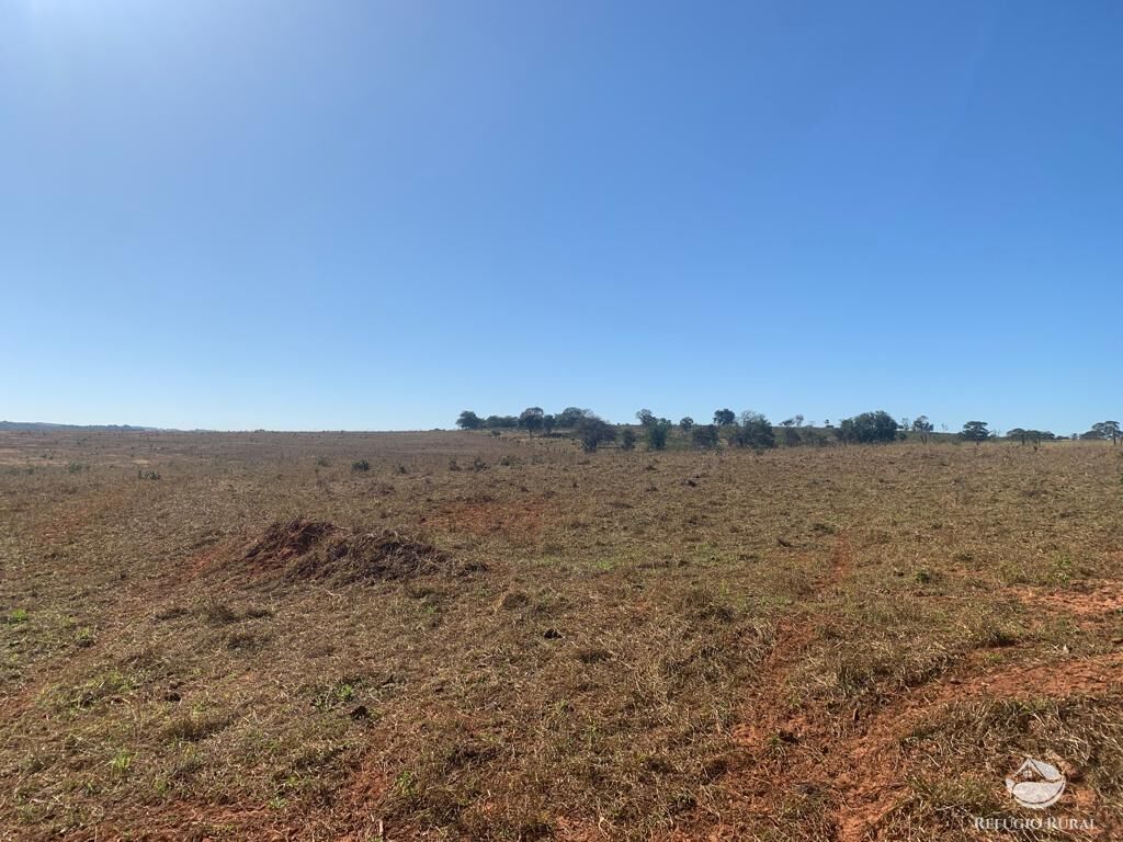 Fazenda à venda com 1 quarto, 10800000m² - Foto 16