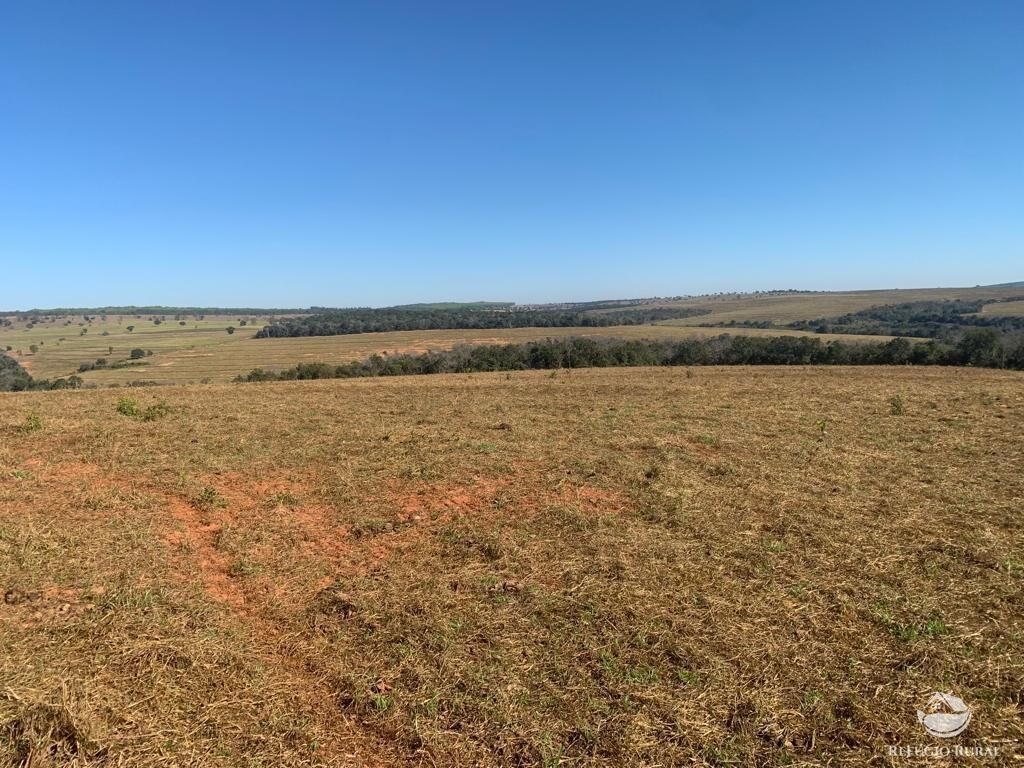 Fazenda à venda com 1 quarto, 10800000m² - Foto 20