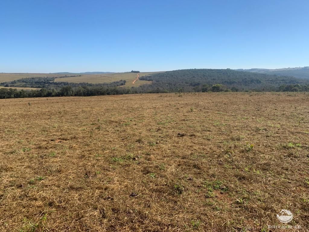 Fazenda à venda com 1 quarto, 10800000m² - Foto 19