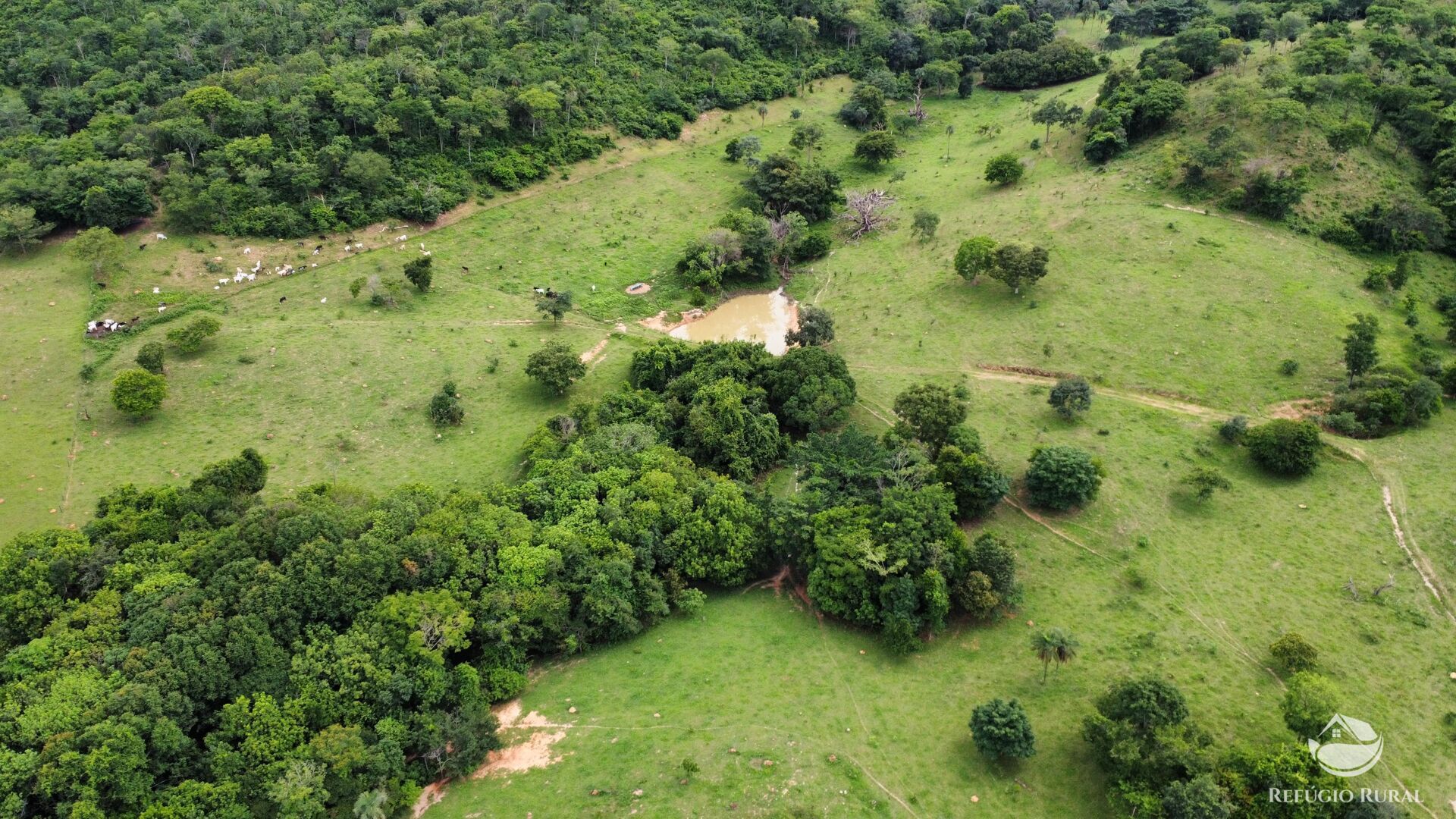 Fazenda, 261 hectares - Foto 5