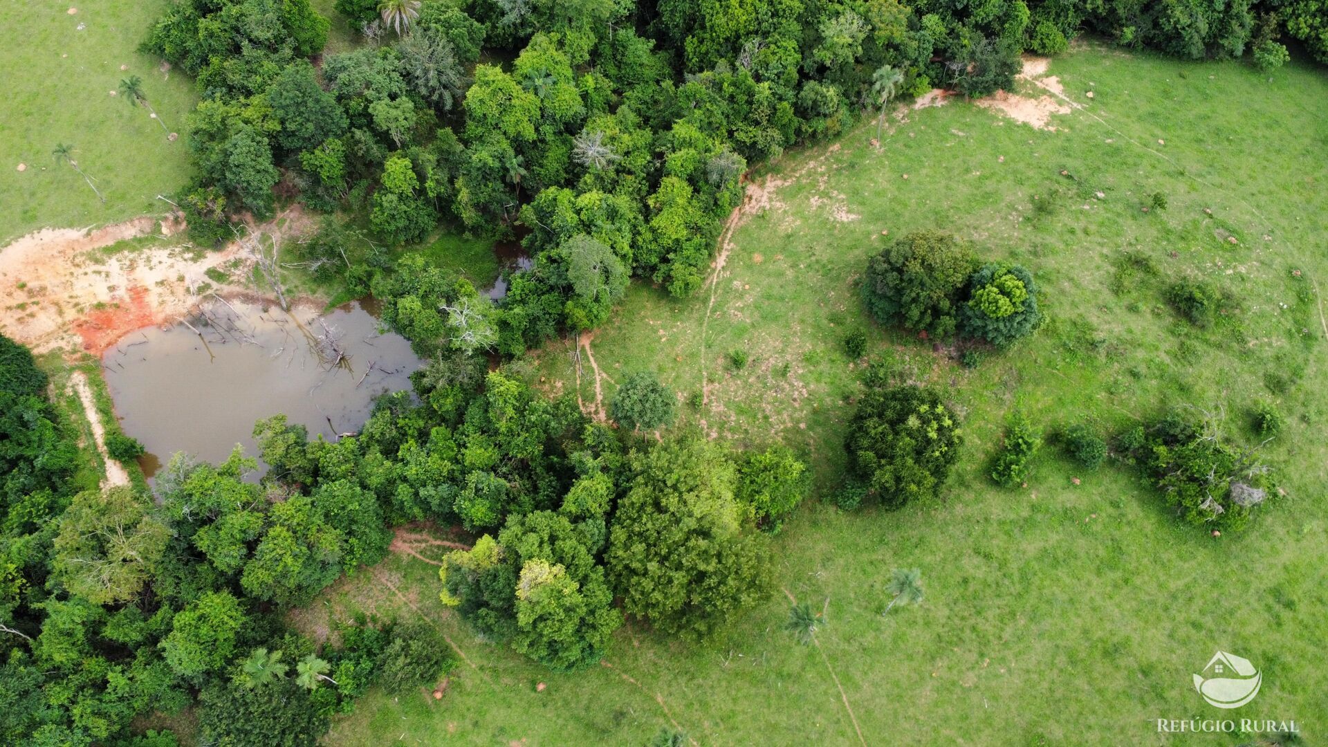 Fazenda, 261 hectares - Foto 11
