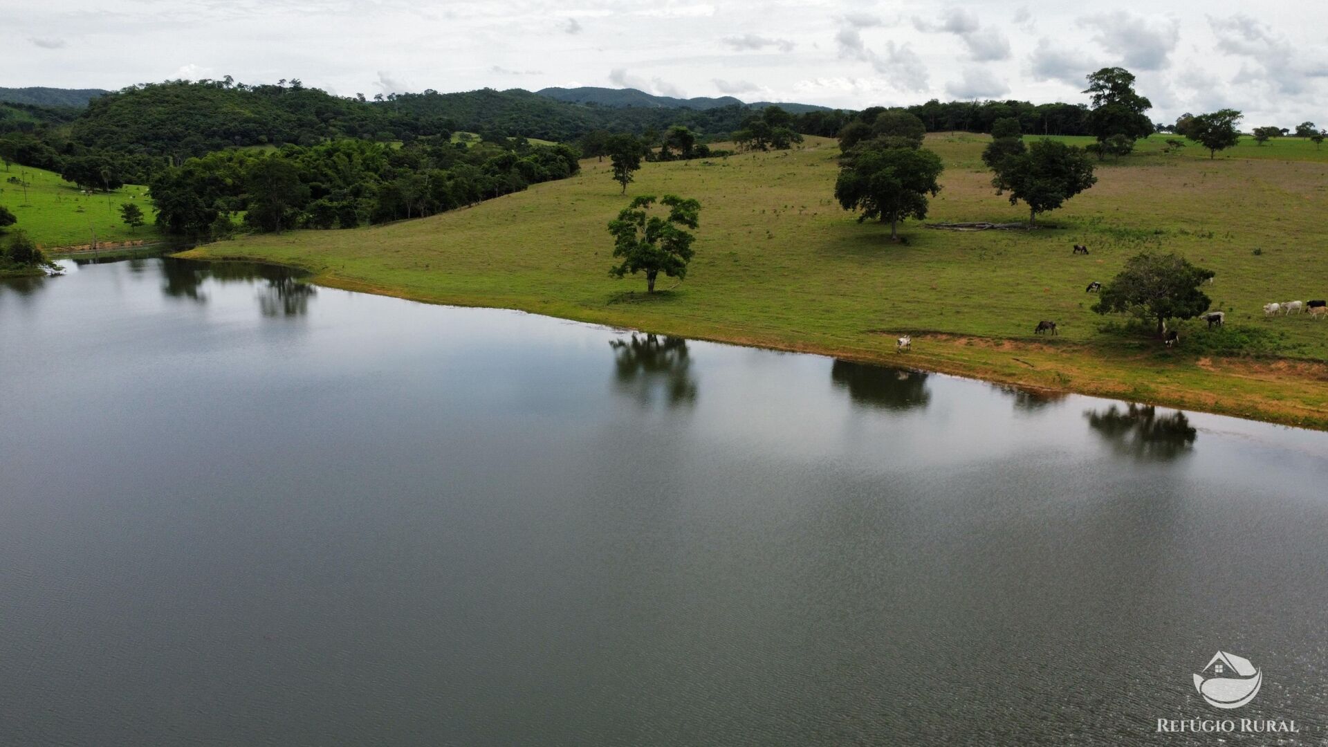 Fazenda, 261 hectares - Foto 26
