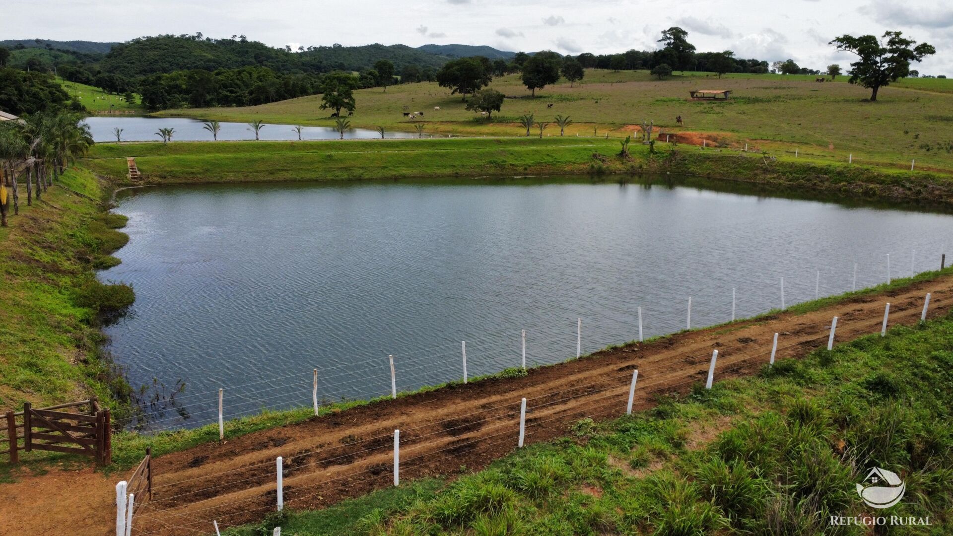 Fazenda, 261 hectares - Foto 7