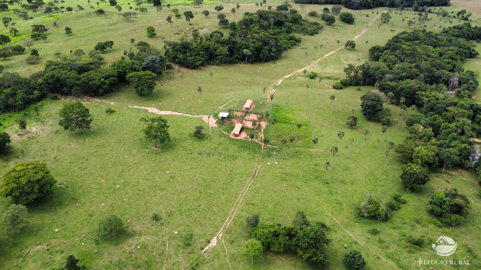 Fazenda, 261 hectares - Foto 12
