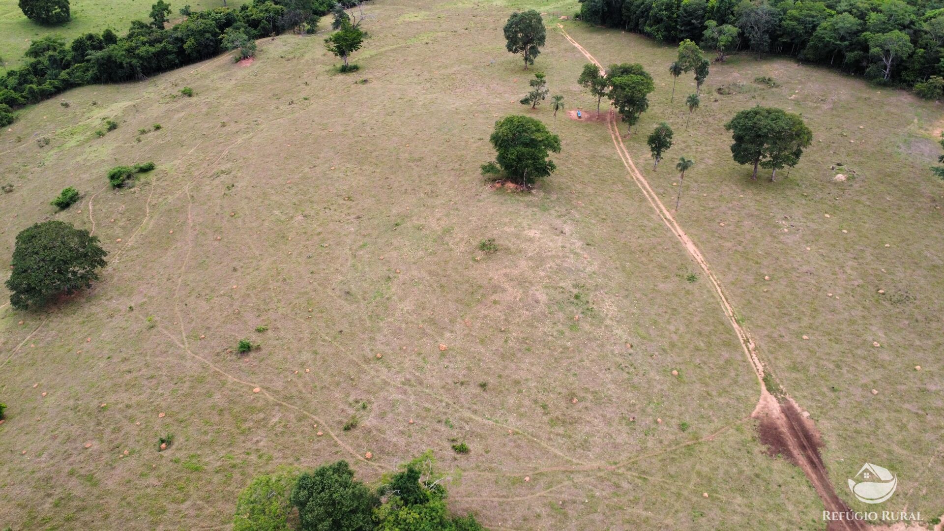 Fazenda, 261 hectares - Foto 19